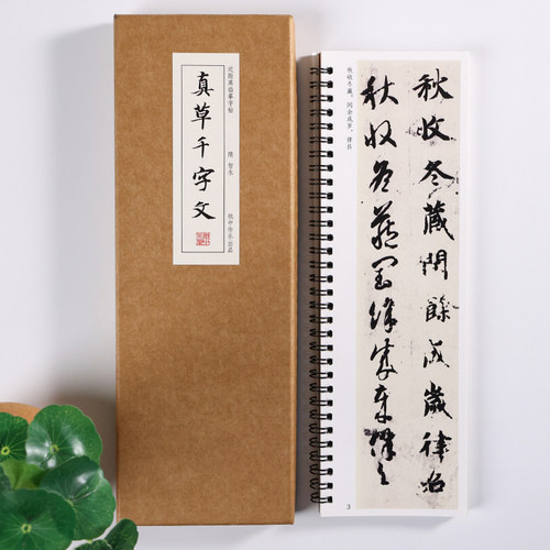 智永真草千字文墨迹楷书草书智永真书行书毛笔书法字帖描红智勇毛笔临摹卡楷书草书真草真书字帖二玄社放大版原大集字古诗描红 - 图1