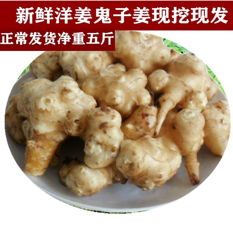 天然洋姜新鲜大个鬼子姜菊姜脆甜洋山药农产品