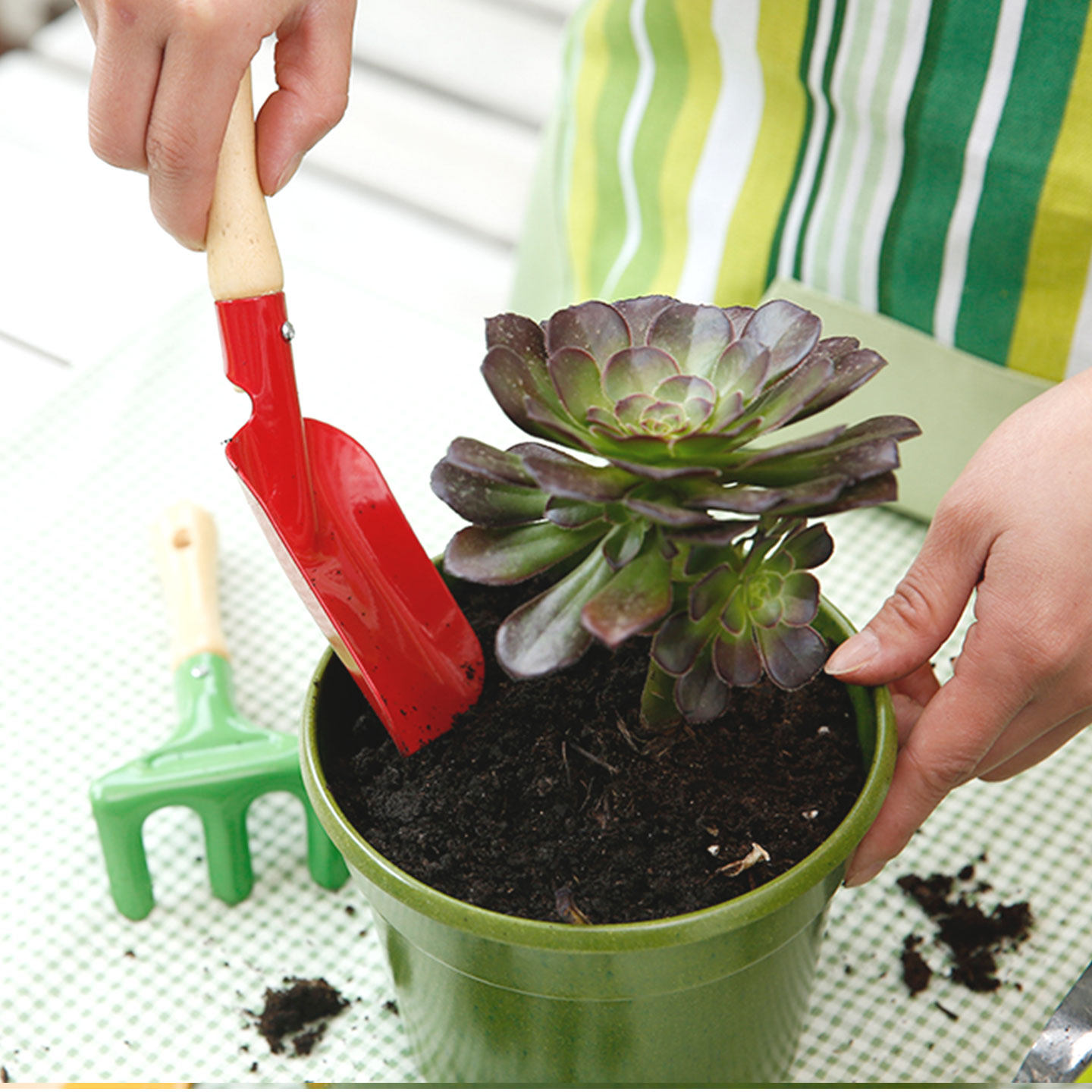 沃施worth儿童园艺工具多肉盆栽种植铲幼儿园种花小铲子挖沙赶海,淘宝优惠券,粉丝福利购,淘宝优惠卷