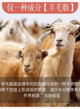 德德维芙羊脂膏保湿润护润而不油好吸收细腻肌肤日常护理羊脂膏
