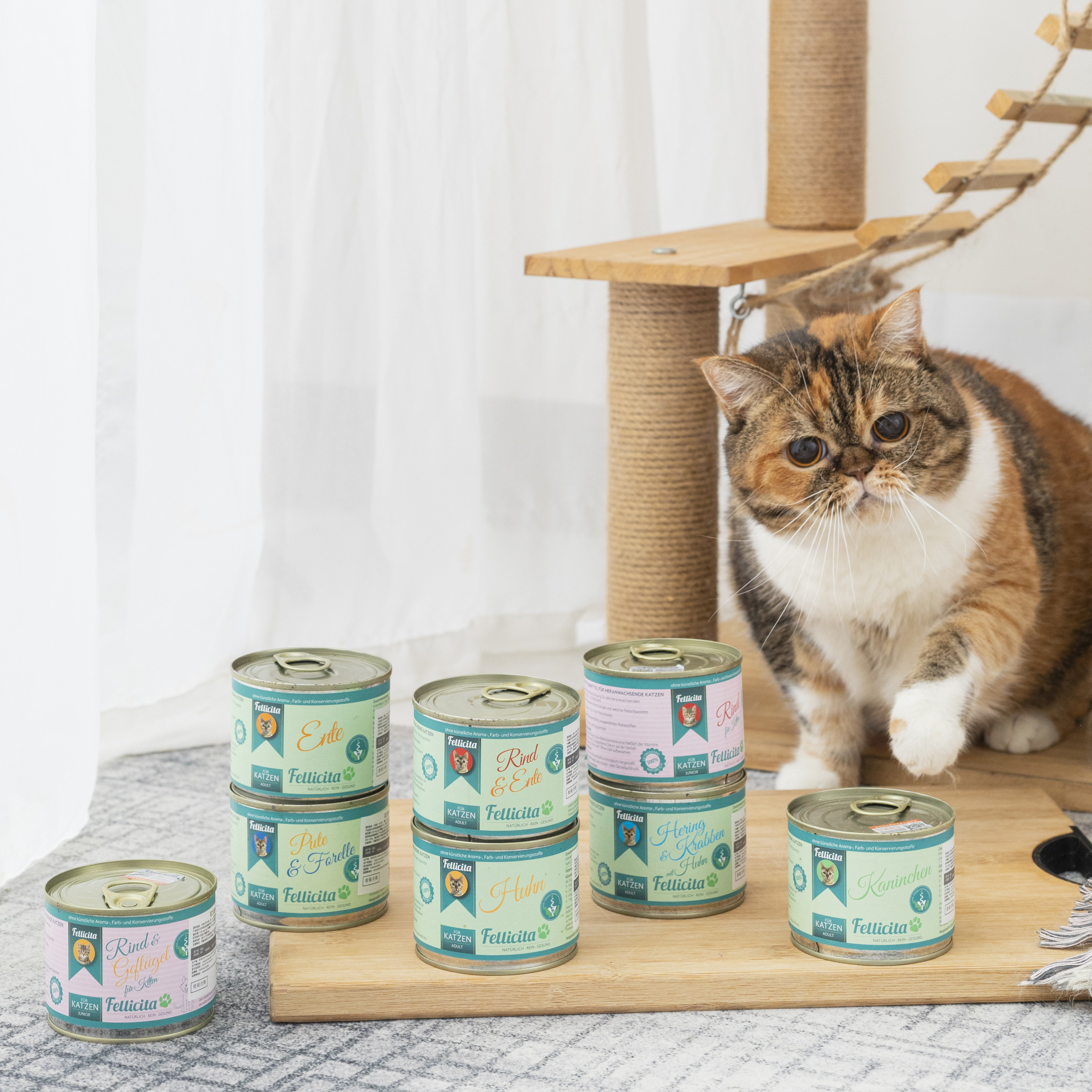 德国fellicita菲菲主食猫罐鸡肉兔肉幼猫牛肉鲱鱼猫罐头200g 6罐-答案 