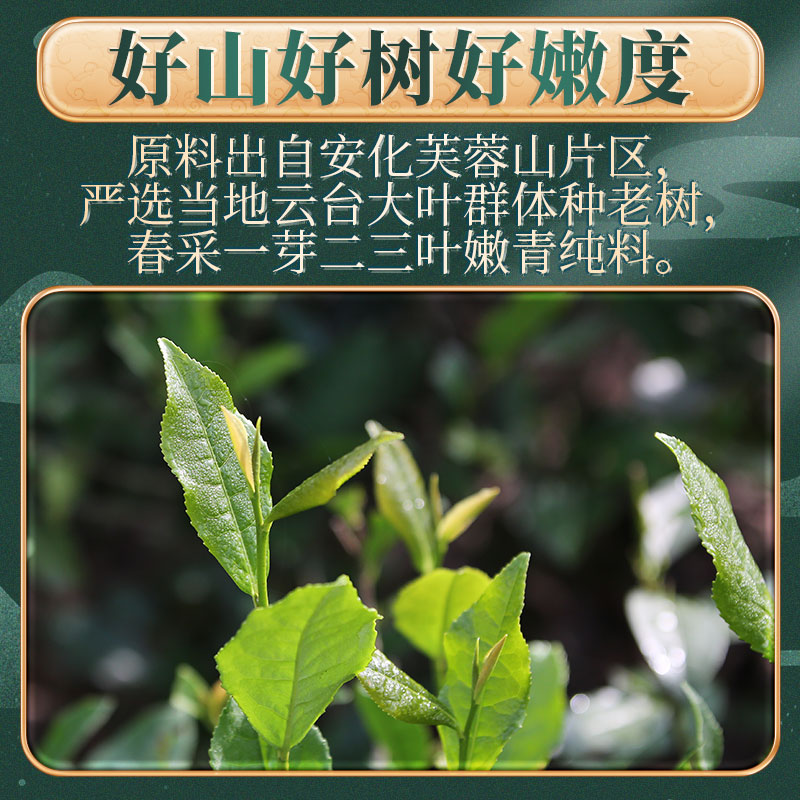 白沙溪安化黑茶湖南正宗芙蓉山2012年金花茯砖茶1kg正品陈年茯茶