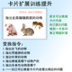 Enlightenment toy instruction auditory focus new product special offer