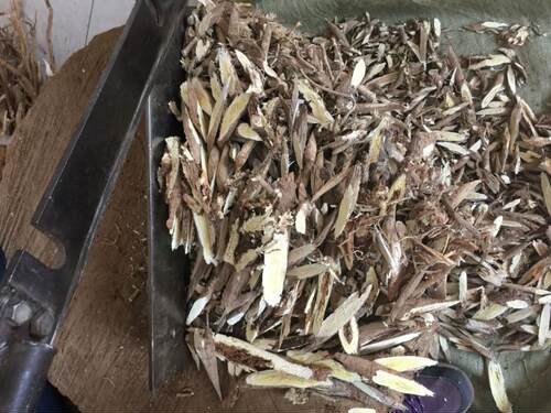 东北长白山黄芪整根北芪250g黄芪片药食同源食品中药材店铺 - 图1