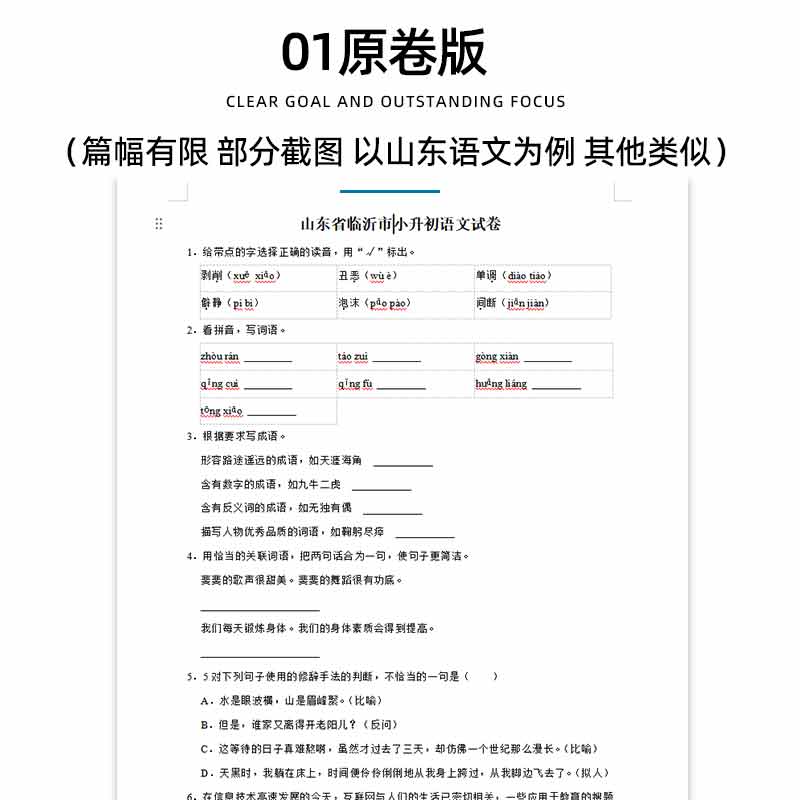 2024年海南省小升初历年真题语文数学英语习题Word版小学升初中试题一二三四五六年级上下册试卷电子版解析答案2010-2022海口-图0