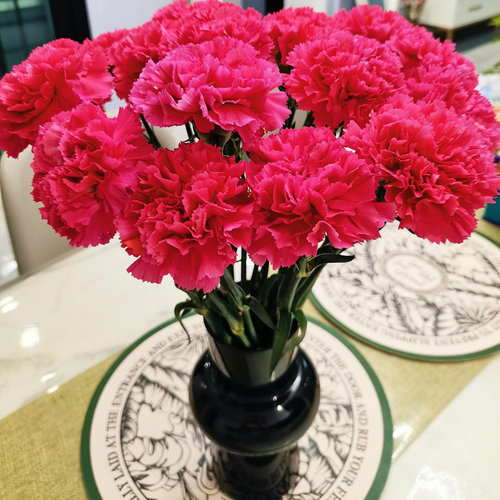 康乃馨鲜花教师节花束鲜花云南基地直发顺丰家用水养鲜花超长花期 - 图2