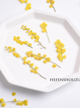 金合欢圣诞干花滴胶diy饰品材料