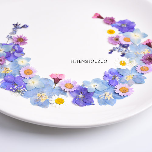 植物标本组合装幼儿园手工材料真花压花混合diy干花台灯装饰画 - 图2
