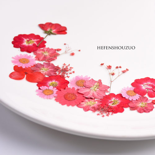 植物标本组合装幼儿园手工材料真花压花混合diy干花台灯装饰画 - 图3