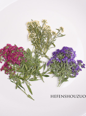 香雪球干花手机滴胶diy