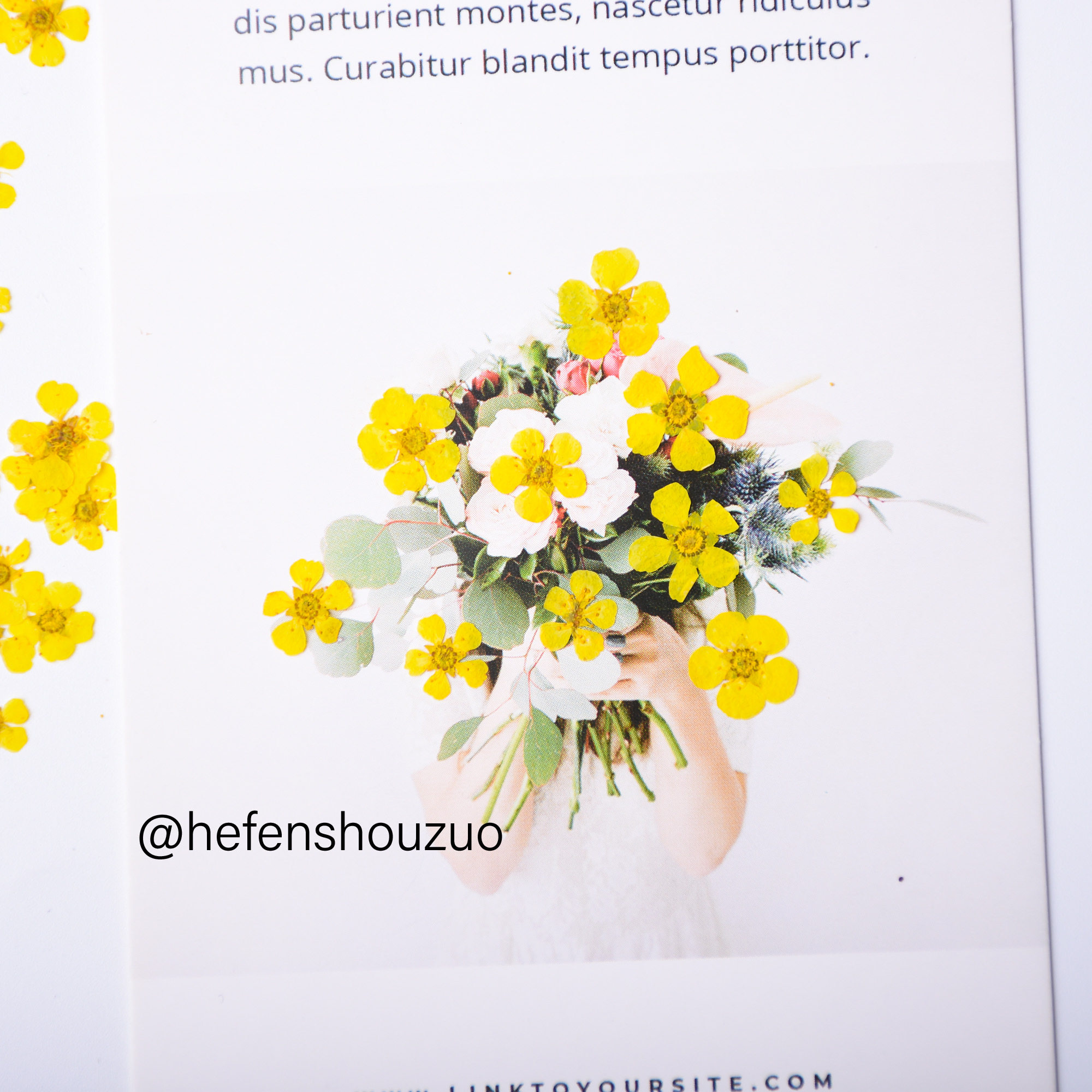 水仙花 迷你真花压花 滴胶压花手机壳材料 美妆贴ins网红同款,淘宝优惠券,粉丝福利购,淘宝优惠卷