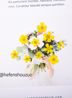 河粉手作真花diy压花小水仙