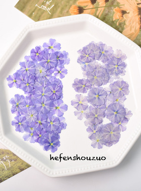 河粉手作真花押花手工diy材料