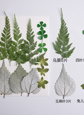 diy树叶植物标本组合包滴胶杯