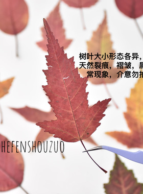 diy少儿美术课手工制作树叶标本