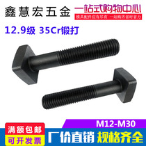 12 9 grade haute résistance t vis à vis pression m16m20m24m30 punch tête carrée T-bolt