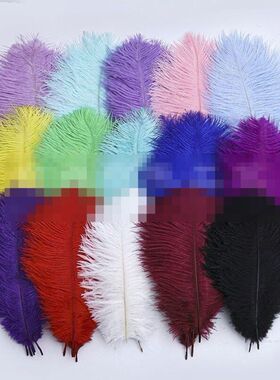 彩色鸵鸟毛花束创意DIY饰品配件婚庆舞台服装真羽毛