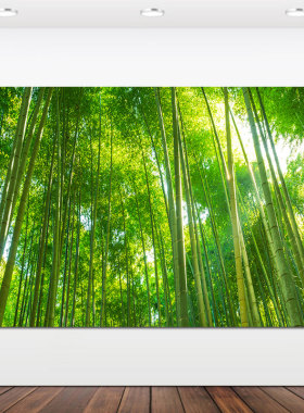 大自然竹林风景画客厅办公室墙壁画卧室房间装饰画风水招财自贴画