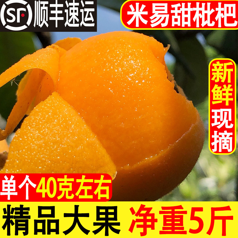 特级攀枝花米易枇杷果新鲜水果包邮5斤当季早春早钟大果琵琶1顺丰
