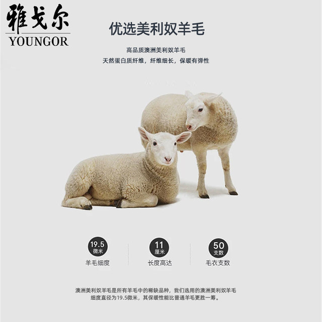 Youngor spring and summer men's warm sweater business round neck pullover bottoming sweater