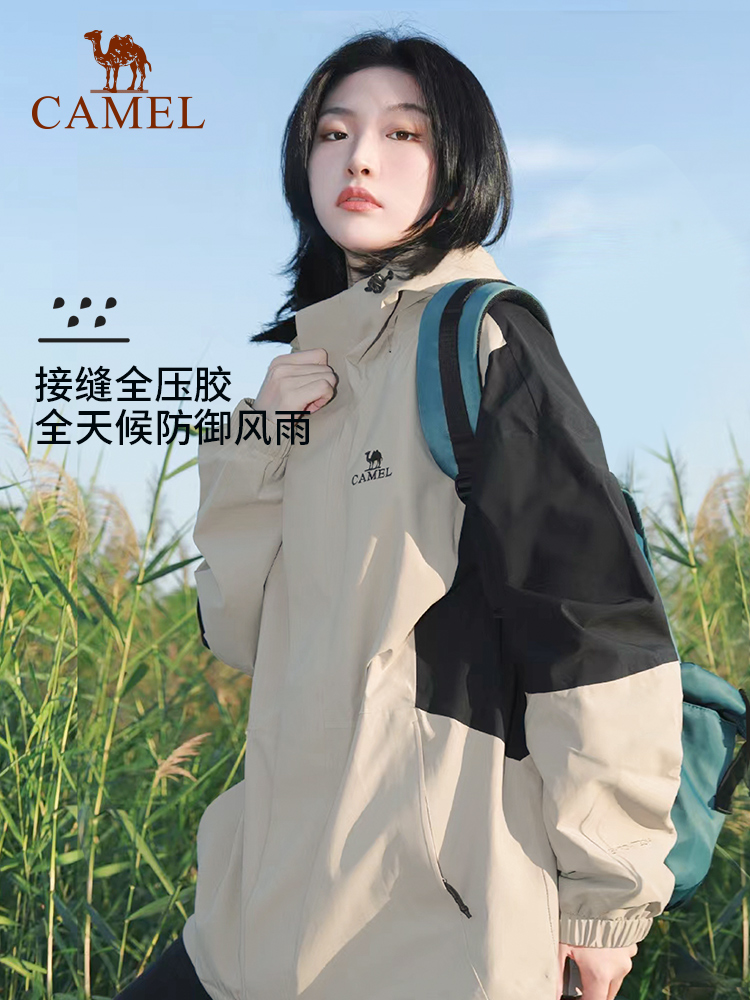 图 3