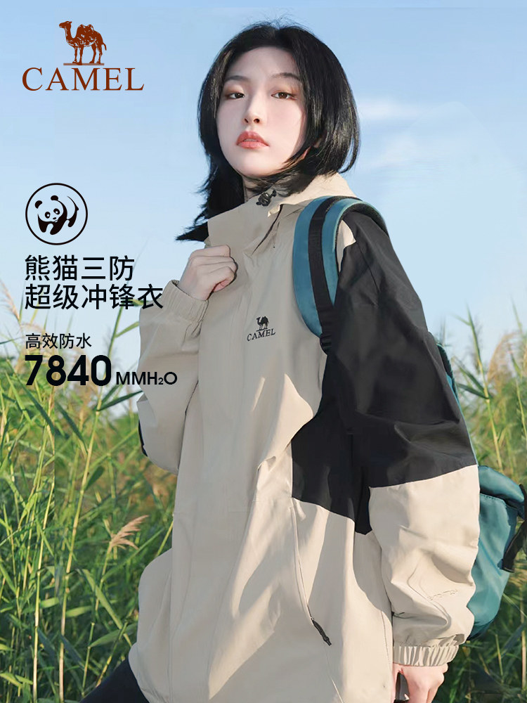 图 3