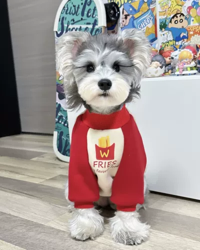 Осенняя утепленная хлопковая удерживающая тепло толстовка, круглый воротник