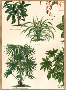 丹麦植物美式风客厅海报装饰画