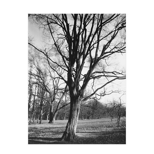 liveart进口英国Rosenstiels巴黎风景黑白摄影装饰画Eugene Atget - 图0