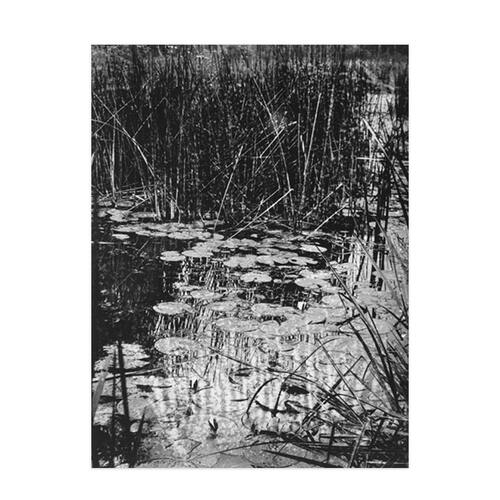 liveart进口英国Rosenstiels巴黎风景黑白摄影装饰画Eugene Atget - 图1