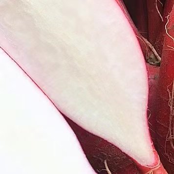 2026新鲜辣萝卜红皮白肉萝卜泡菜萝卜9斤应季蔬菜农家非水果萝卜,淘宝优惠券,粉丝福利购,淘宝优惠卷