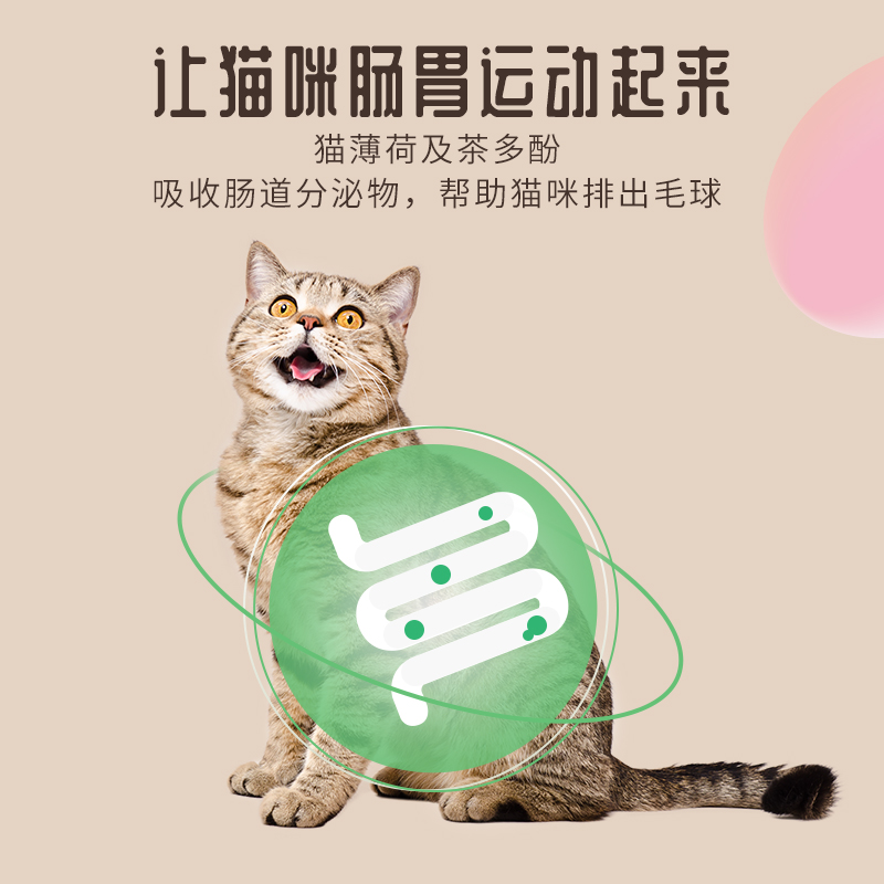 paddytime最宠猫咪零食猫条160g 鱼肉条成幼猫孕猫增肥发腮营养 - 图2