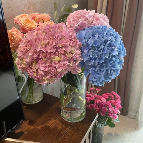 可利鲜HVB鲜花保鲜剂袋装水剂促吸保鲜延长花期花店专用家庭养花 - 图1