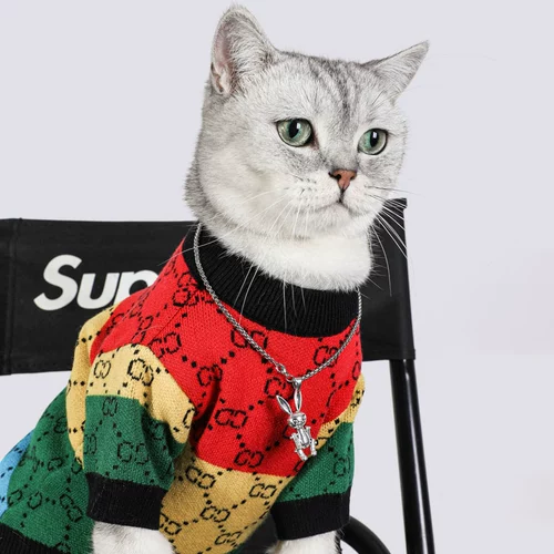 Кошачья одежда осень и зимняя радуга четырехцветная свитер собака смешно