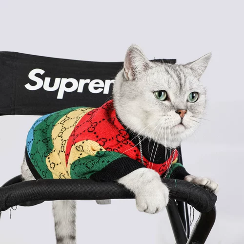 Кошачья одежда осень и зимняя радуга четырехцветная свитер собака смешно