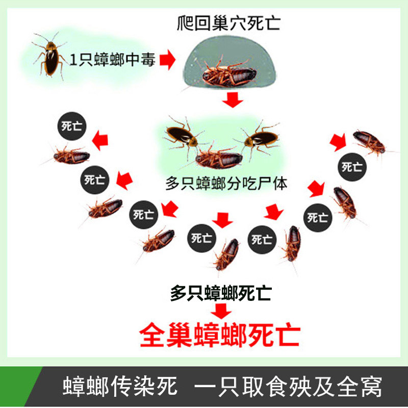 灭蟑螂药克星一窝全窝扫净绝杀端除神器厨房家用强力喷雾剂非无毒