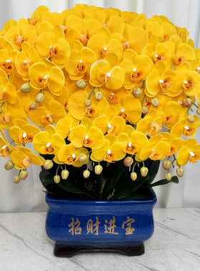 高端仿真蝴蝶兰假花手感保湿花