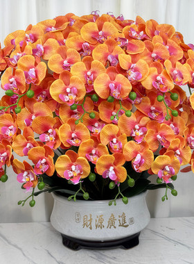 高档仿真蝴蝶兰花新款手感保湿