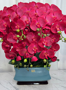 蝴蝶兰仿真花客厅高档花过胶花