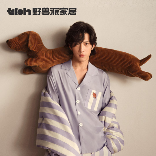 Tbh brutalist home dachshund pillow cushion