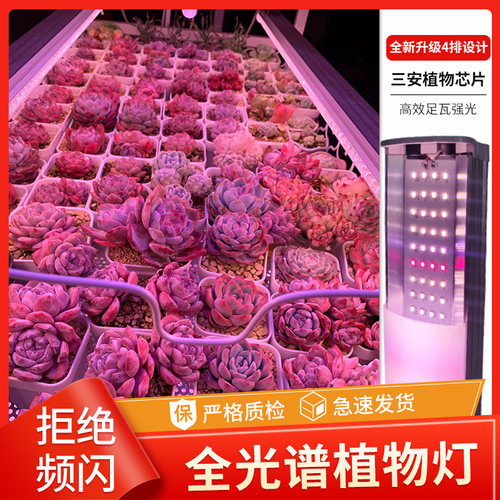 多肉补光灯家用上色全光谱LED植物生长灯室内花卉蔬菜仿太阳光 - 图1