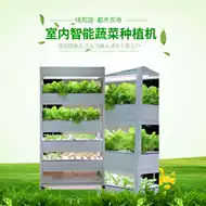 叶菜种植 新人首单立减十元 21年7月 淘宝海外