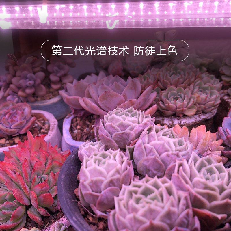 全光谱多肉上色防徒补光灯 仿太阳光 室内育苗食虫花卉植物生长灯,淘宝优惠券,粉丝福利购,淘宝优惠卷