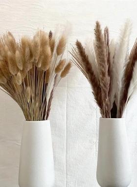 100Pcs/lot Pampas Set Decoration Fluffy Natural Living Room