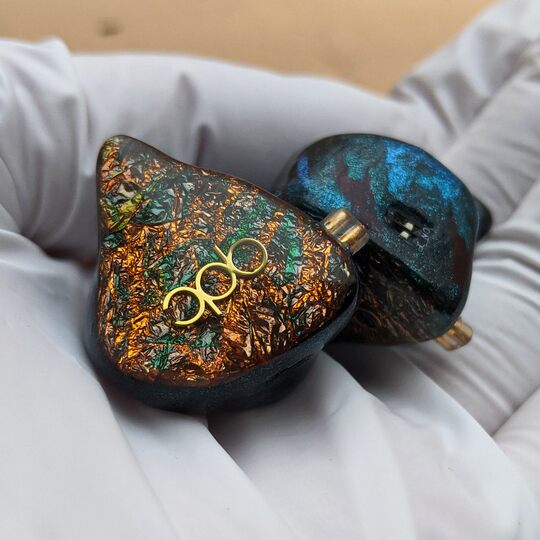 Customized earphones for public and private models