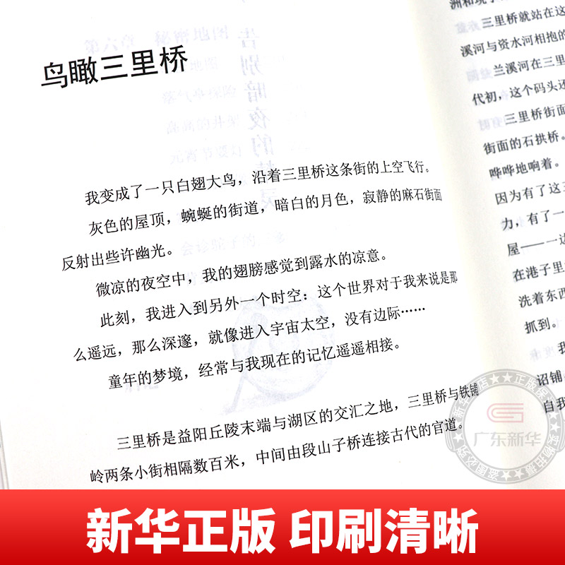 2023阅美江门整本书六年级阅读打卡课外书全4册 逆风飞翔中国轨道号追寻少年与海 笔墨书香经典阅读朝阳云浮读书6年级老师推荐 - 图2