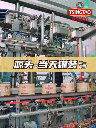 五一订酒】青岛啤酒原浆5L桶一厂原浆青岛原浆酒啤酒精酿鲜啤7天 - 图2