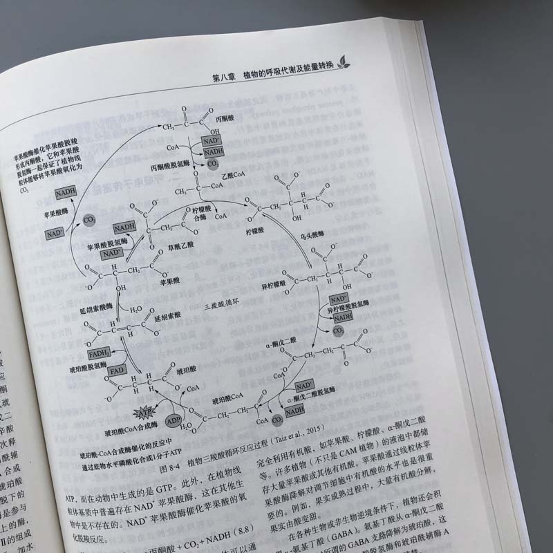 现货】植物生理学  武维华 第3版 第三版 普 生命科学经典教材系列植物细胞学植物物质代谢能量转换生长植物环境生理学 科学出版社 - 图2