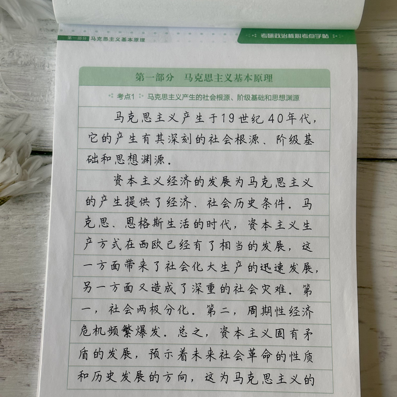 现货速发】新东方 2025考研政治核心考点字帖 25王江涛 王文峰 楷书 楷体练字帖 楷书临摹字帖快速提分用书搭肖秀荣1000题精讲精练 - 图2