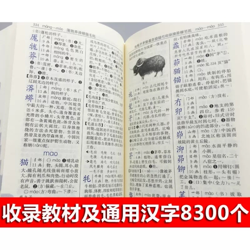 人教新编学生字典第二版第2版双色本2023年新版中小学生专用便携词语字典新版正版新华字典词典精装工具书2022人民教育出版社